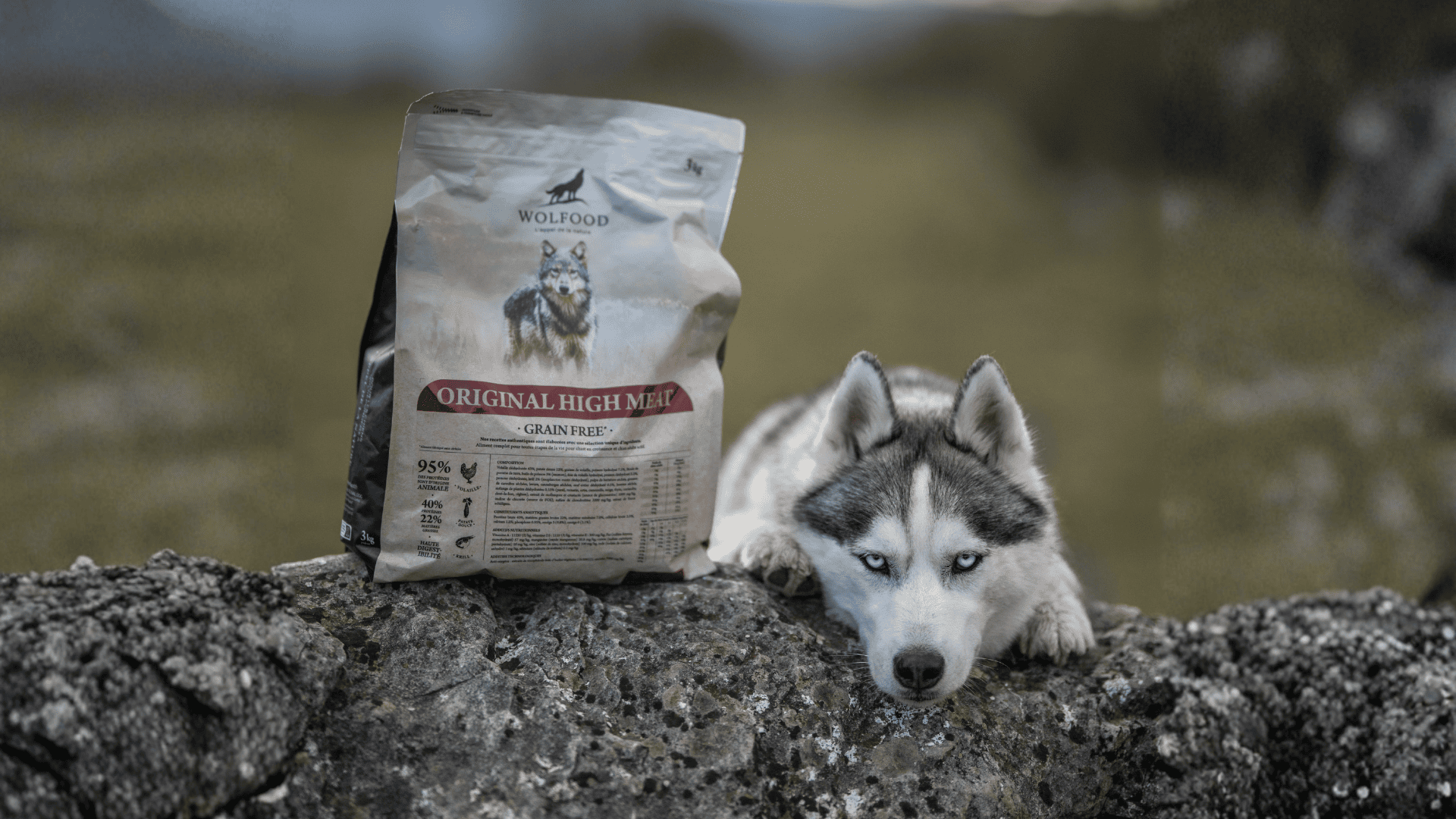 Wie hoch ist der richtige Proteingehalt in Hundefutter?  Nourrir comme la  nature