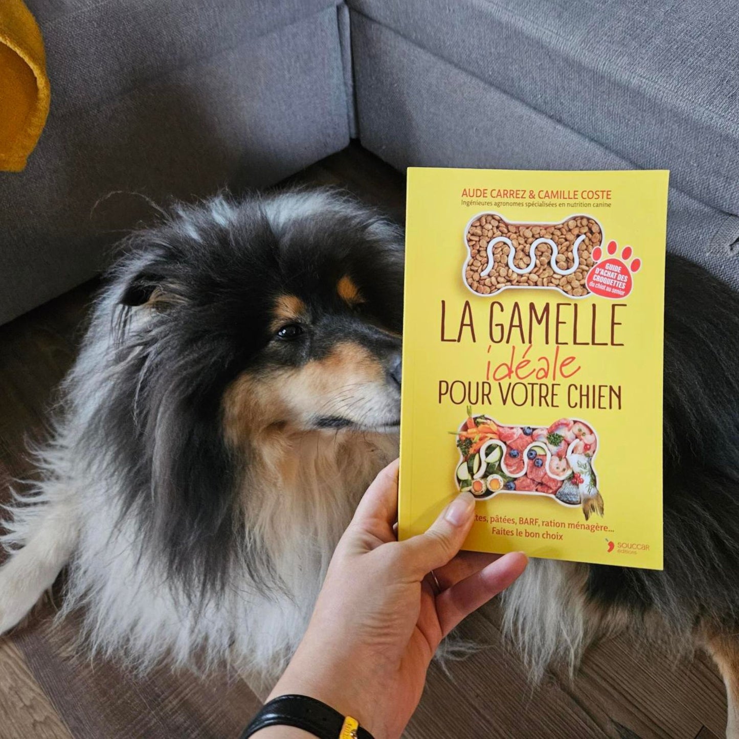 Der ideale Futternapf für Ihren Hund