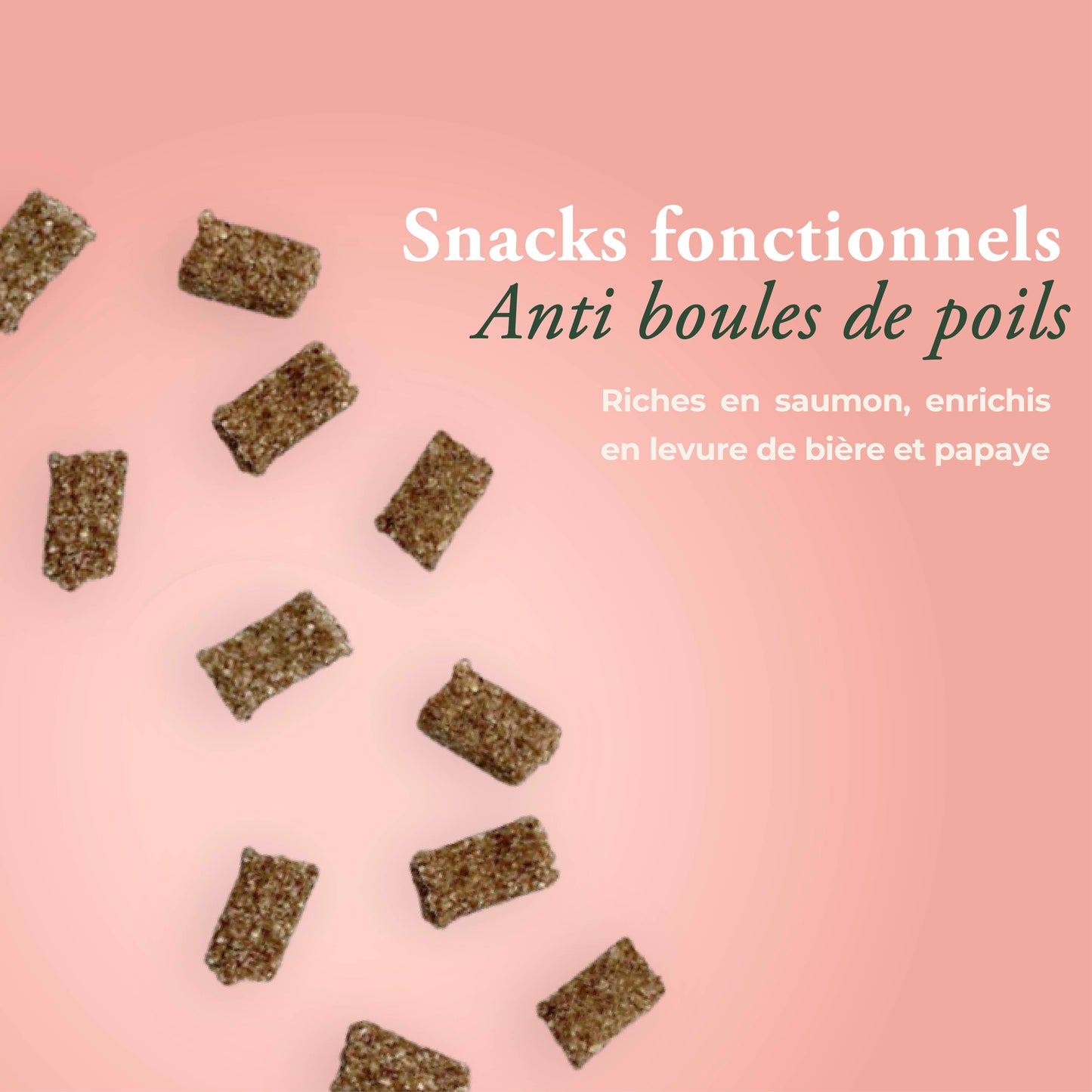 ANTI BOULES DE POILS