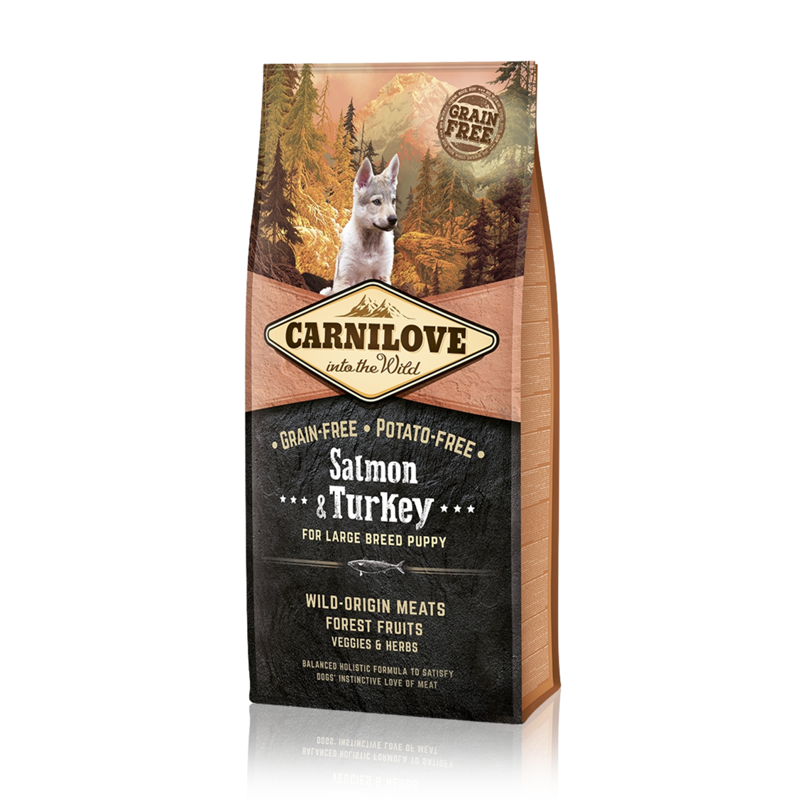 CARNILOVE PUPPY LARGE SALMON & TURKEY