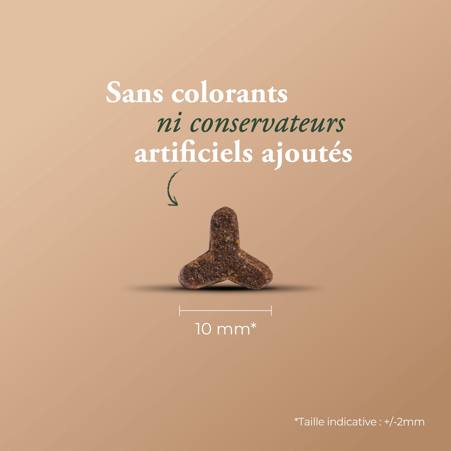 HIGH MEAT CAT & KITTEN