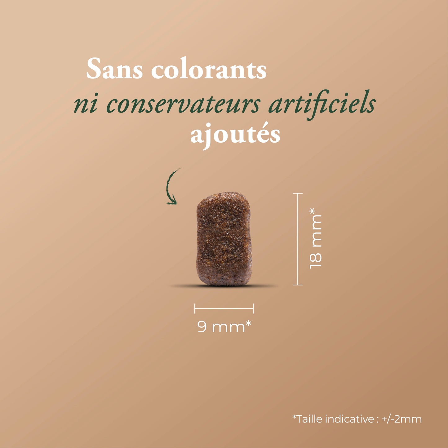 ESSENTIAL MEDIUM MAXI