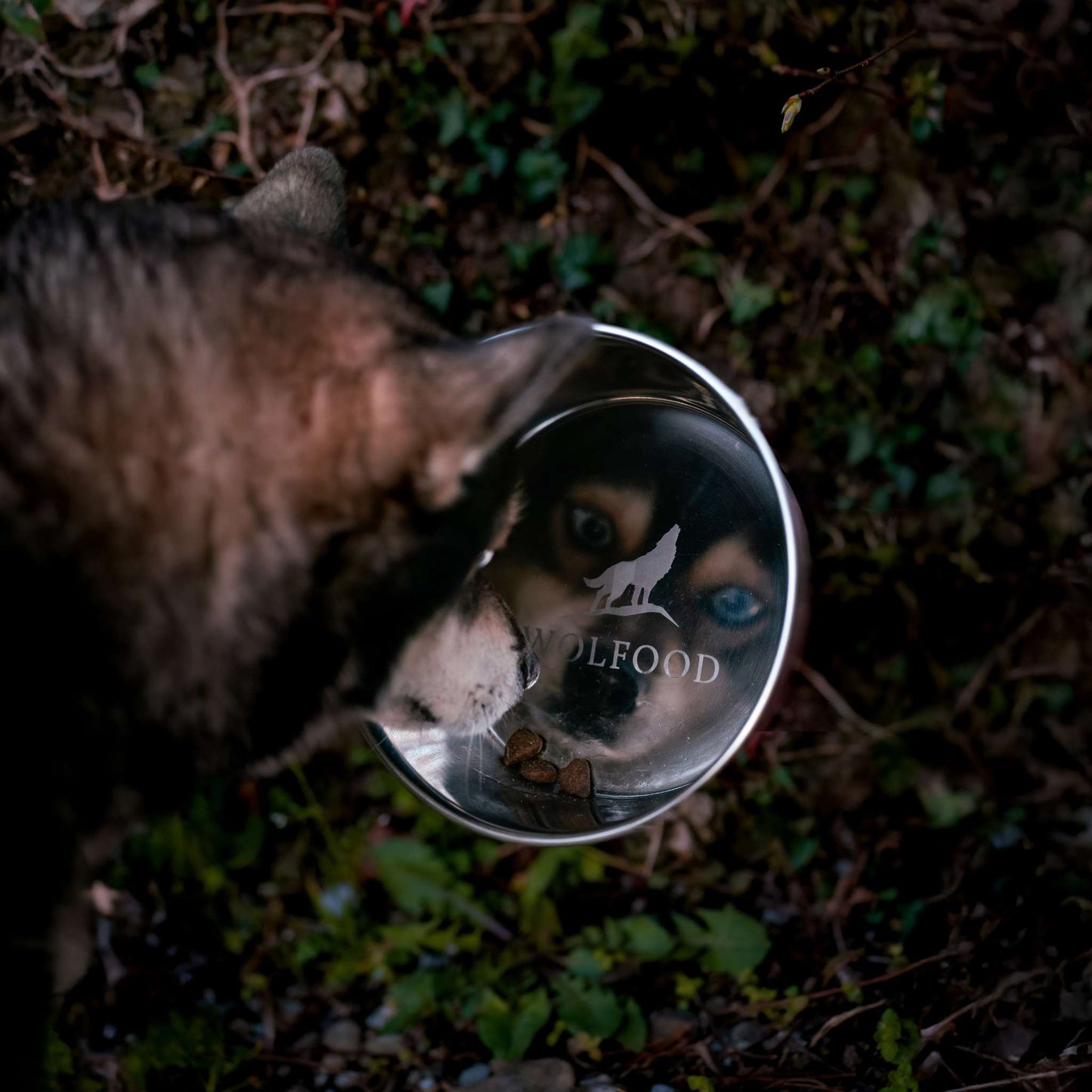 Gamelle Inox Anti-dérapante