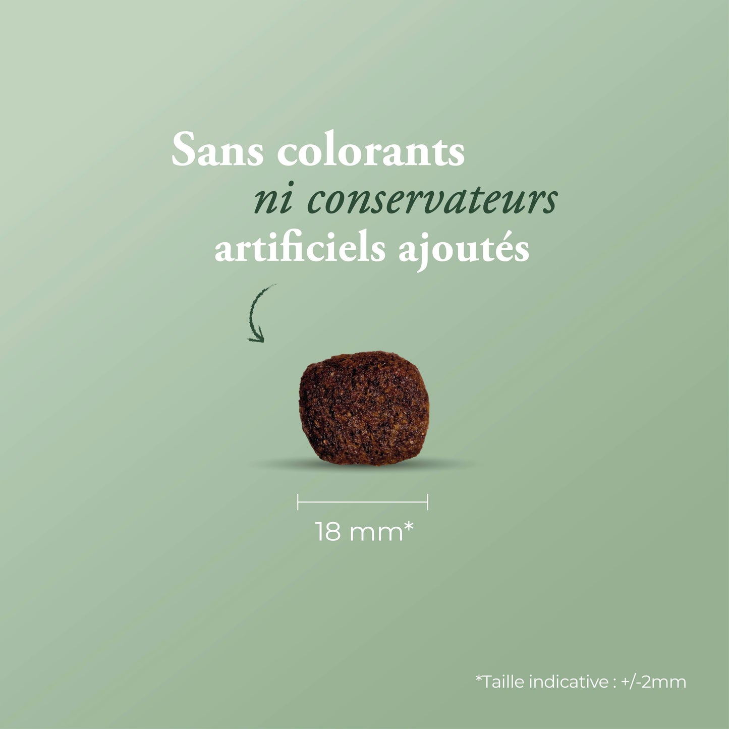 GRAIN FREE HYPOALLERGENIC LAMB