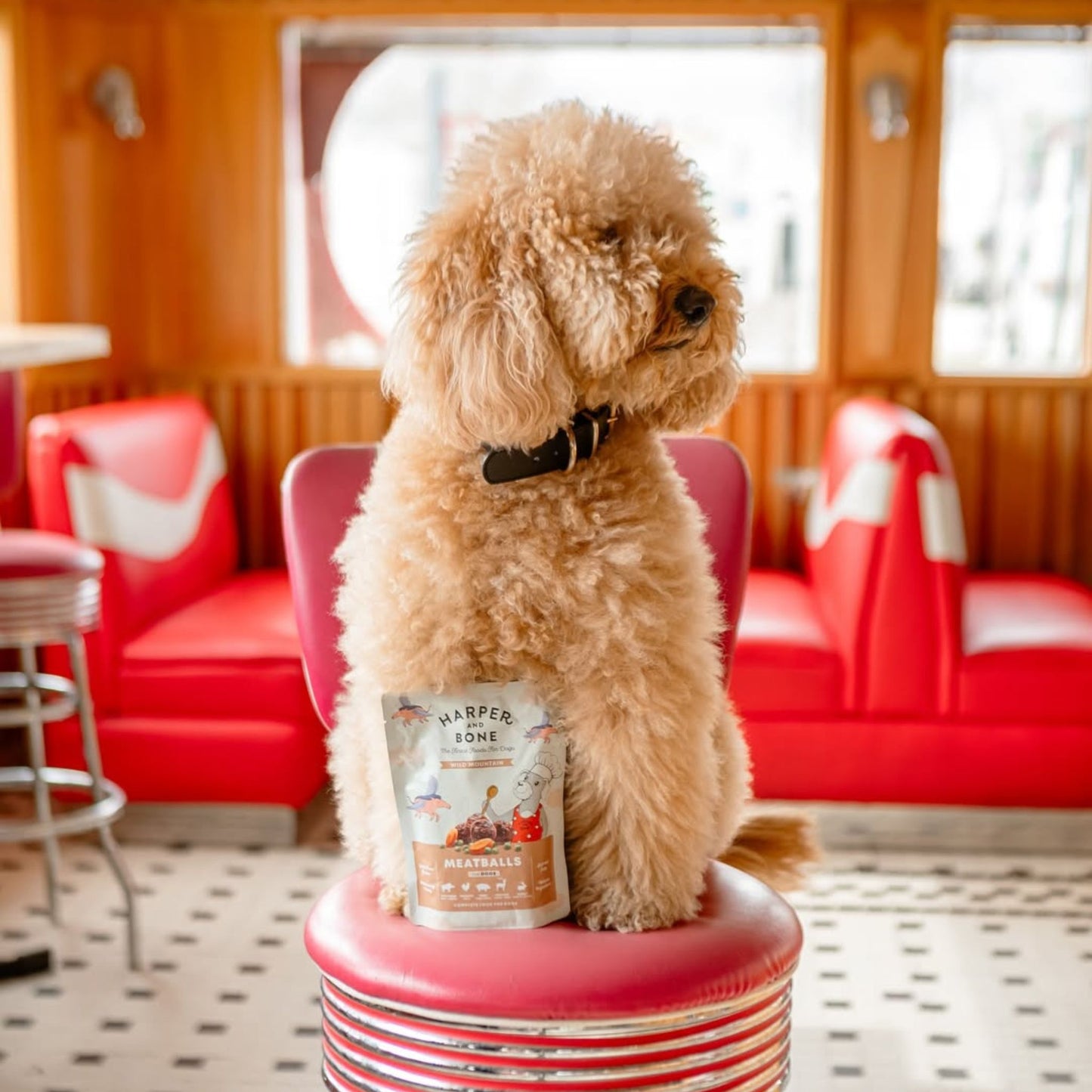 MEATBALLS WILD MOUTAIN