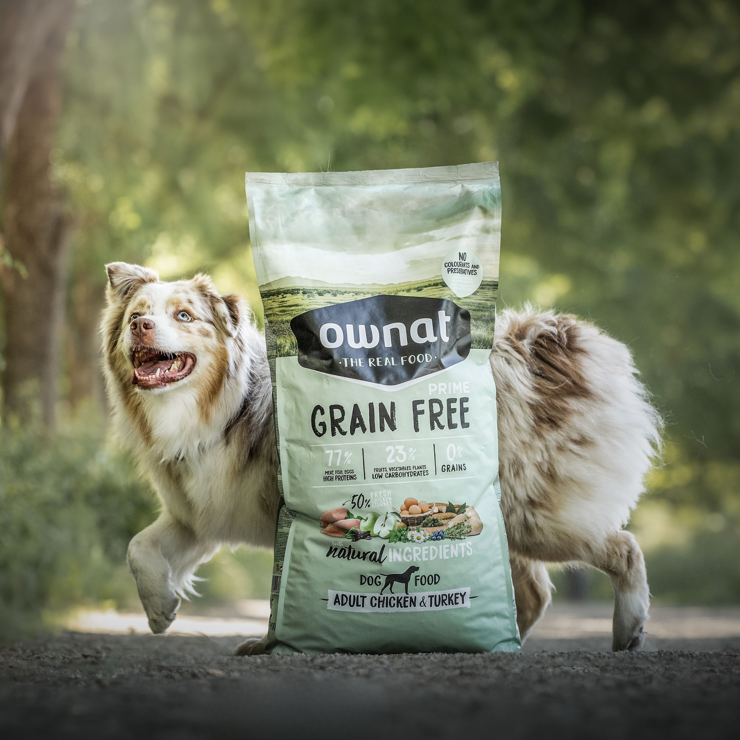 PRIME GRAIN FREE ADULT CHICKEN TURKEY