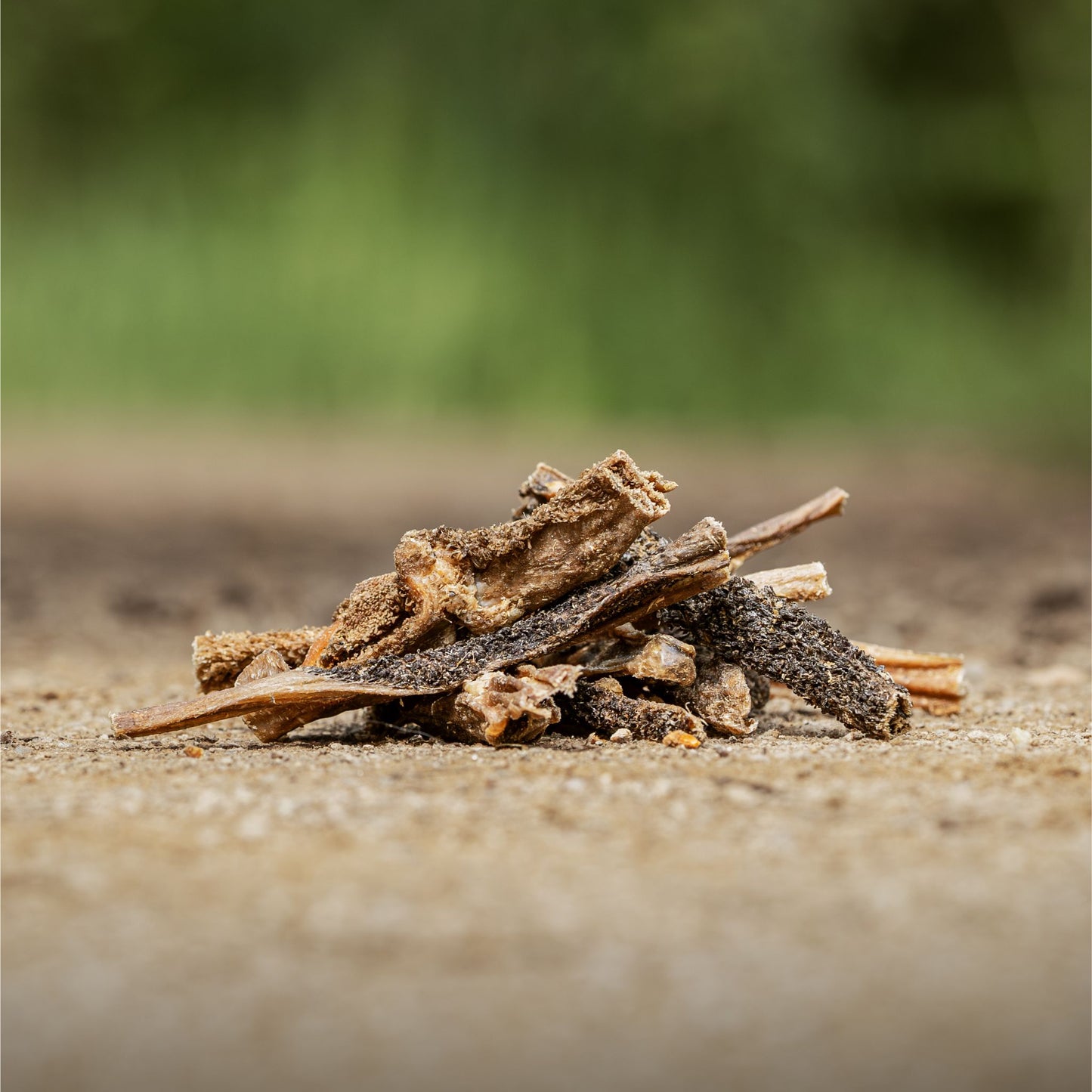 Getrocknete Rinderpansen