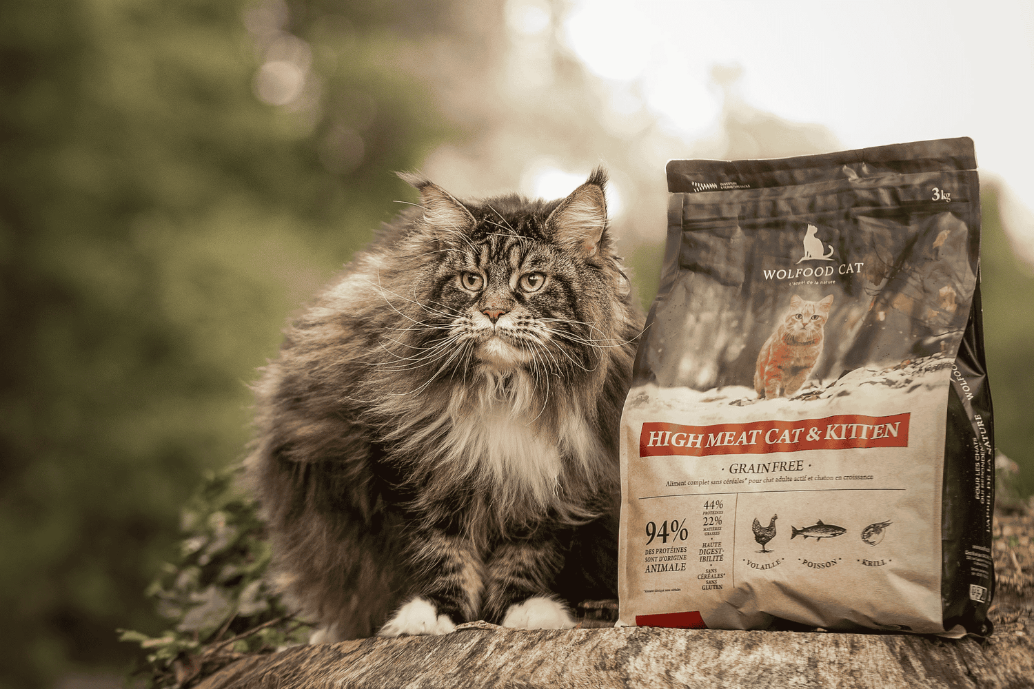 Chat - Sans céréales