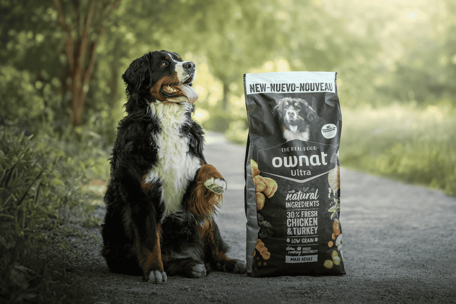 Chien - Faible en céréales
