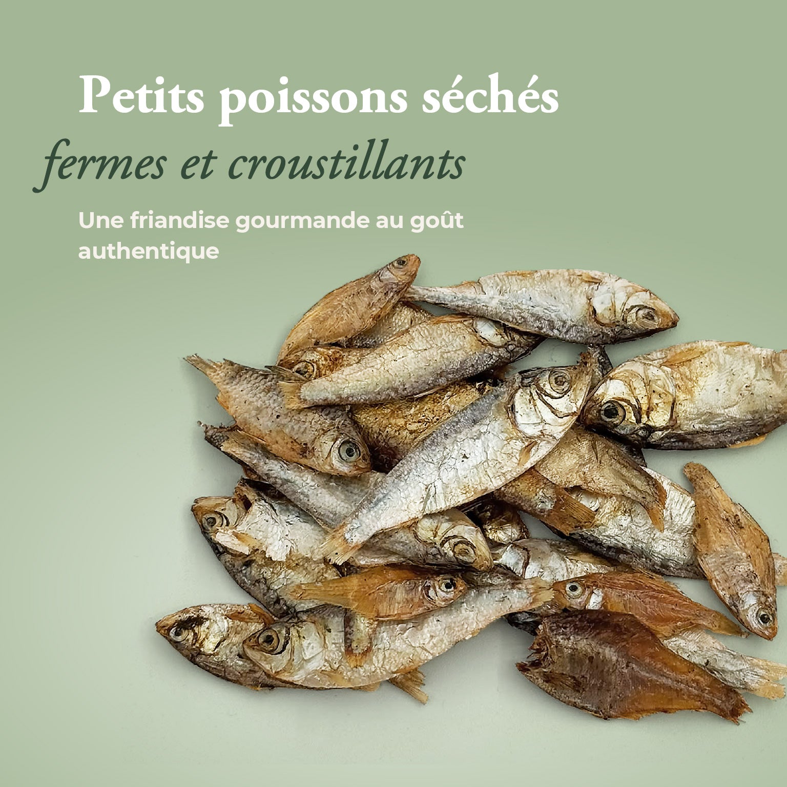 Petits poissons séchés