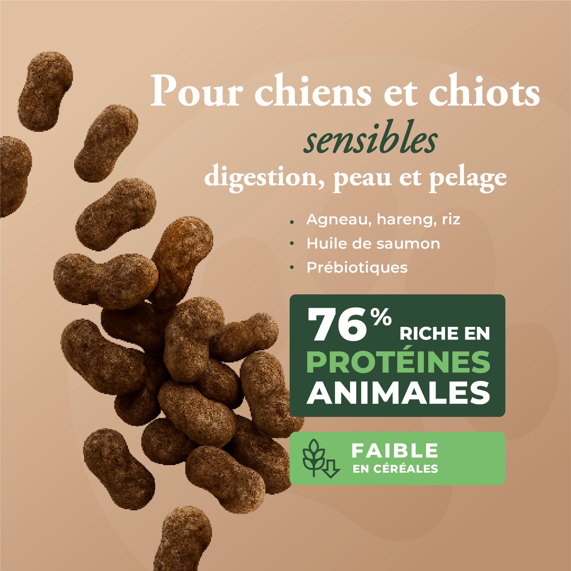 ADULT LAMB (SE CONVIERTE EN CORDERO Y ARROZ)