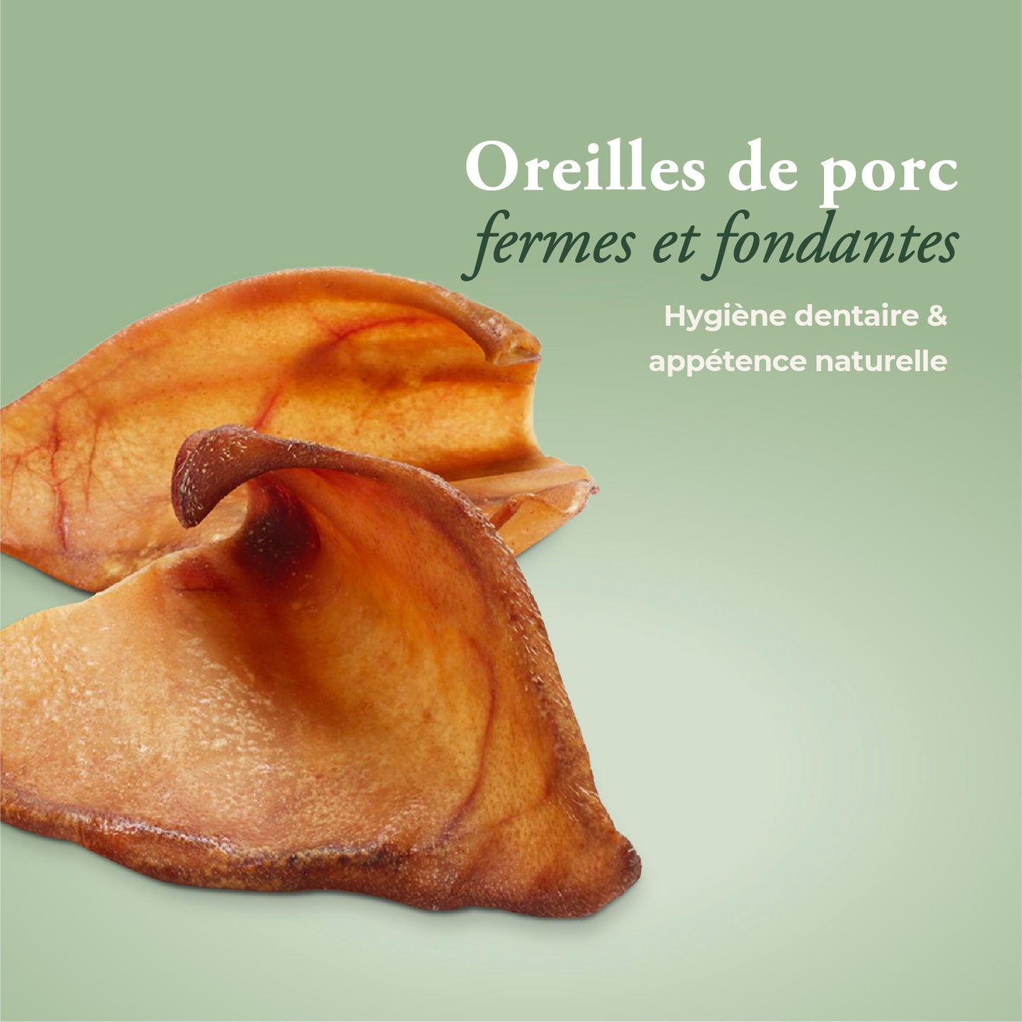 OREILLES DE PORC