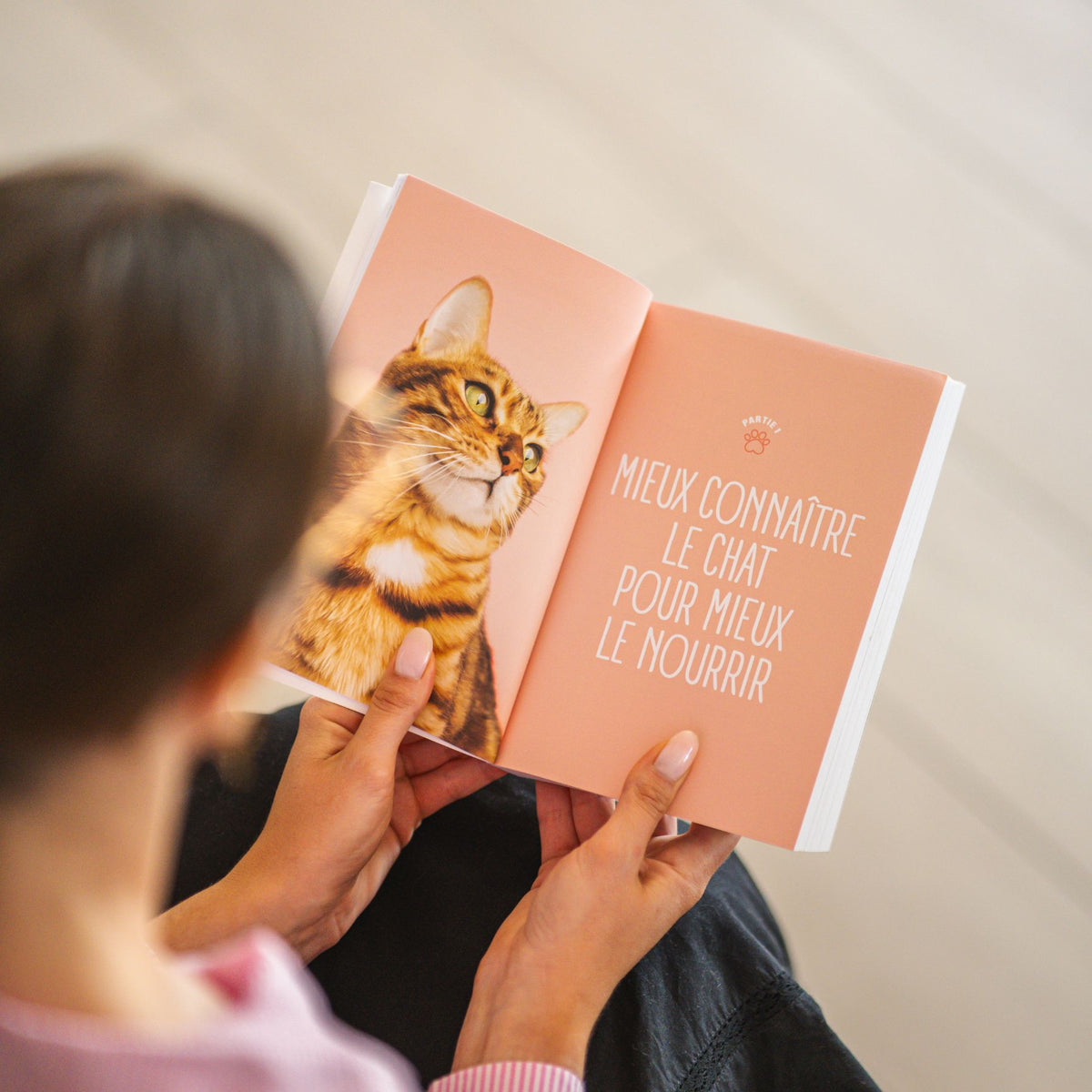 Bien nourrir son chat