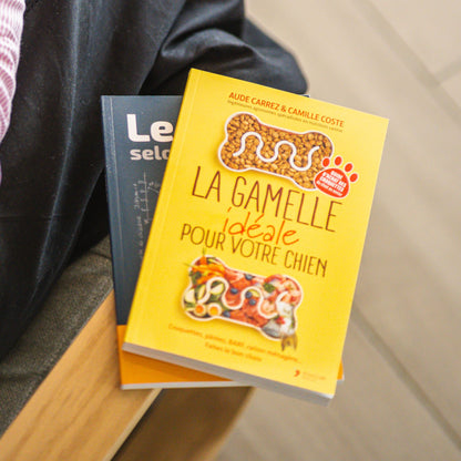 La gamelle idéale pour votre chien