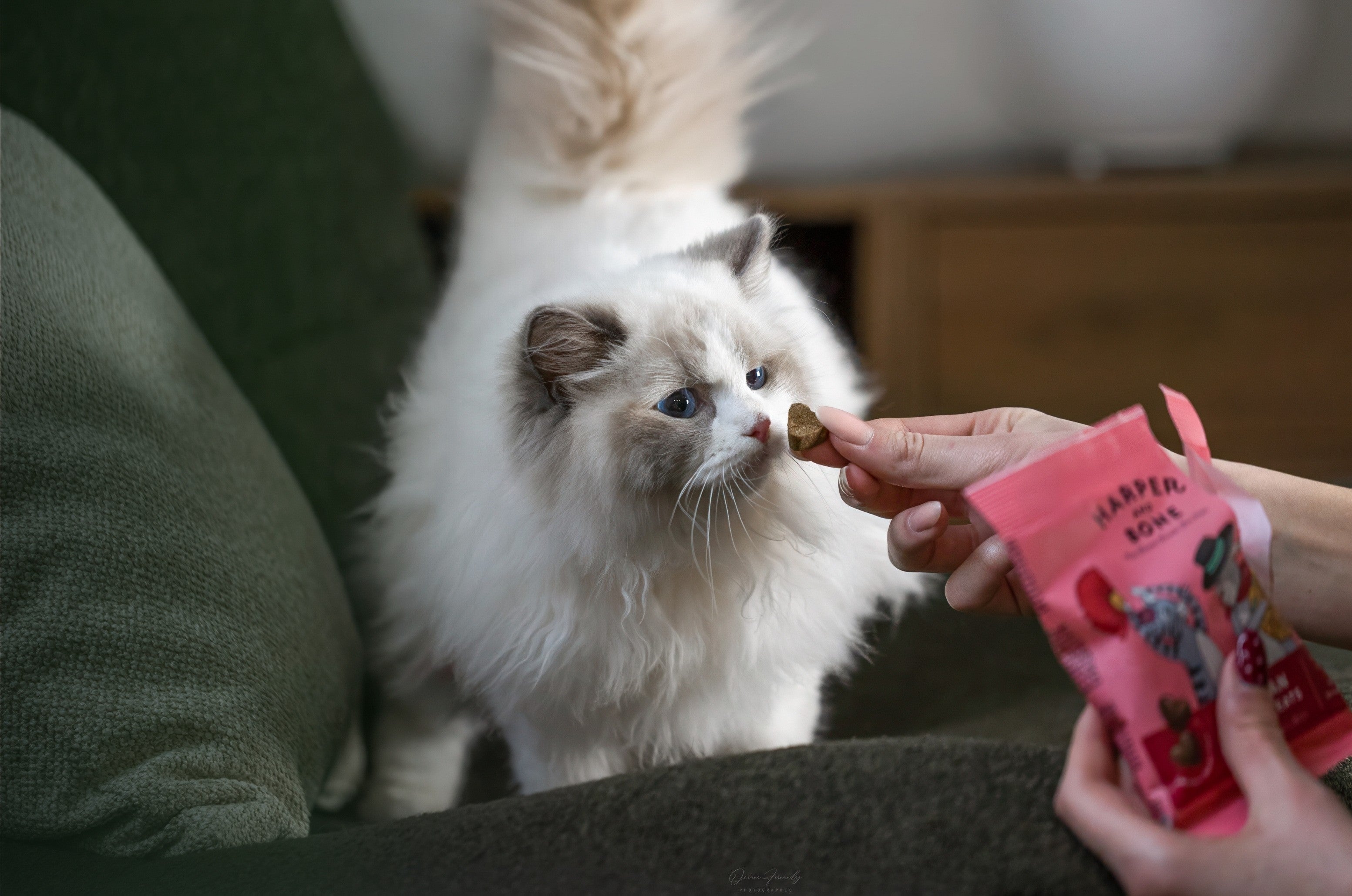 Un week-end plein de gourmandises