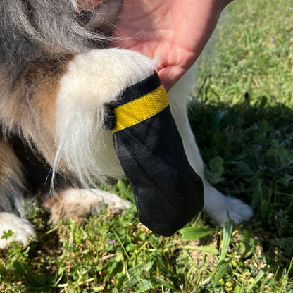 Chaussettes pour chien