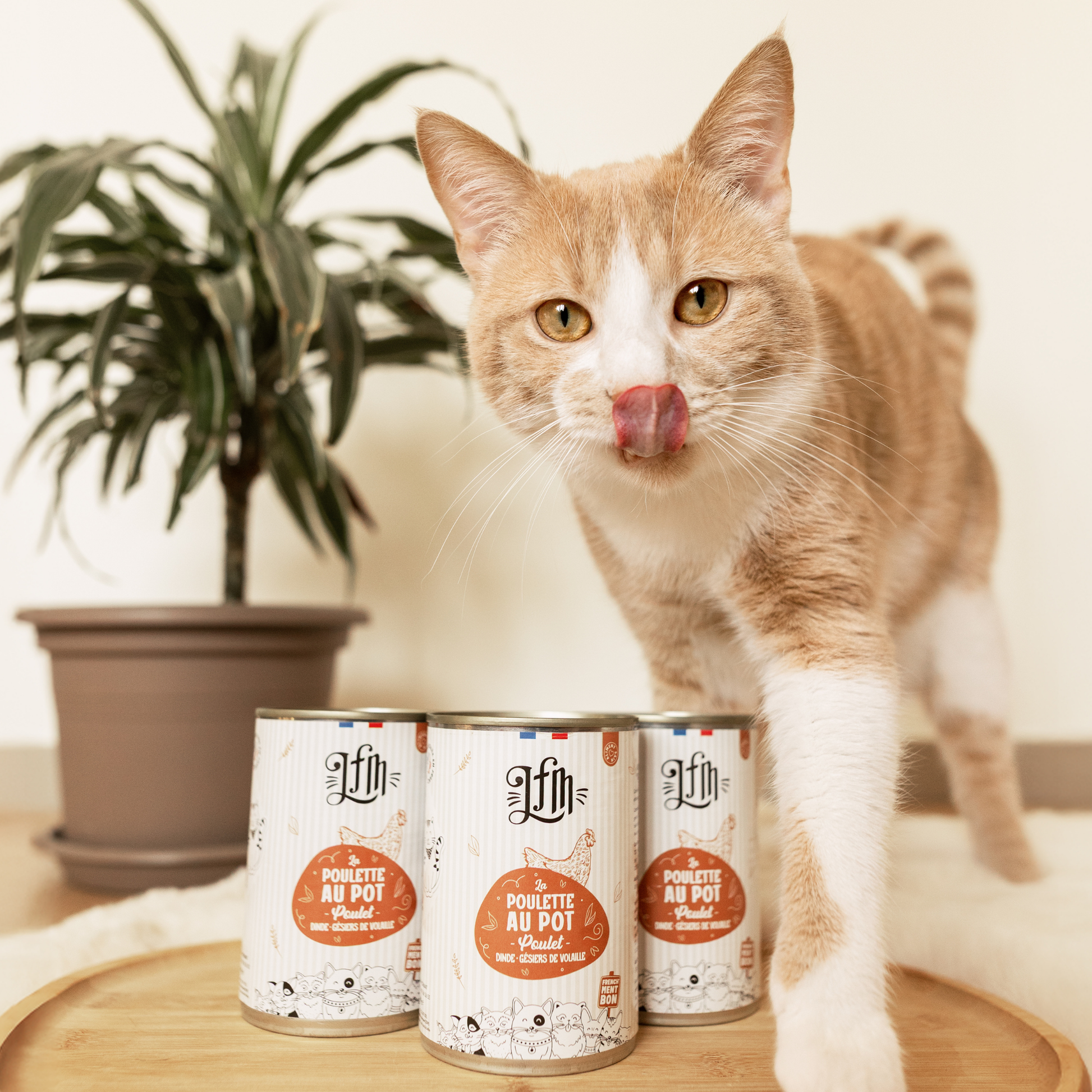 Routine hydratation chat : 6 pâtées Poulette au pot + 1 mini bol de léchage + 1 couvercle
