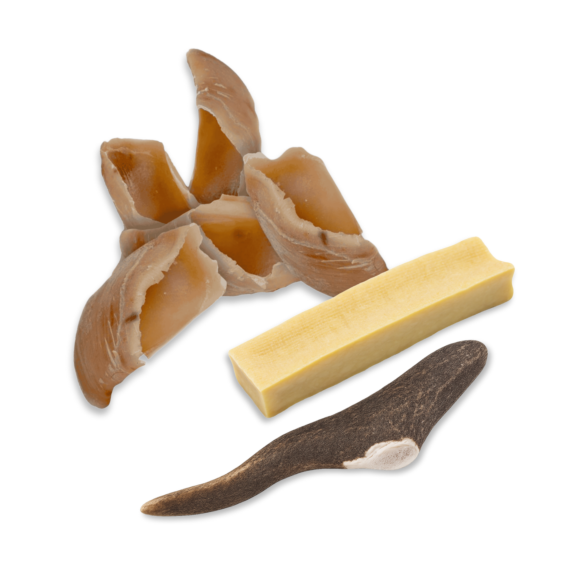 Pack de masticación: la ocupación natural (Pequeño/Mediano)