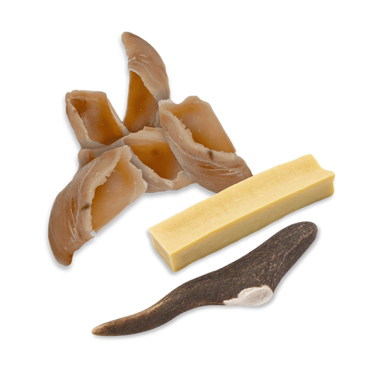 Pack de masticación: la ocupación natural (Pequeño/Mediano)