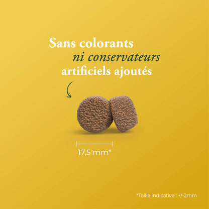 JOSERA ACTIVE NATURE