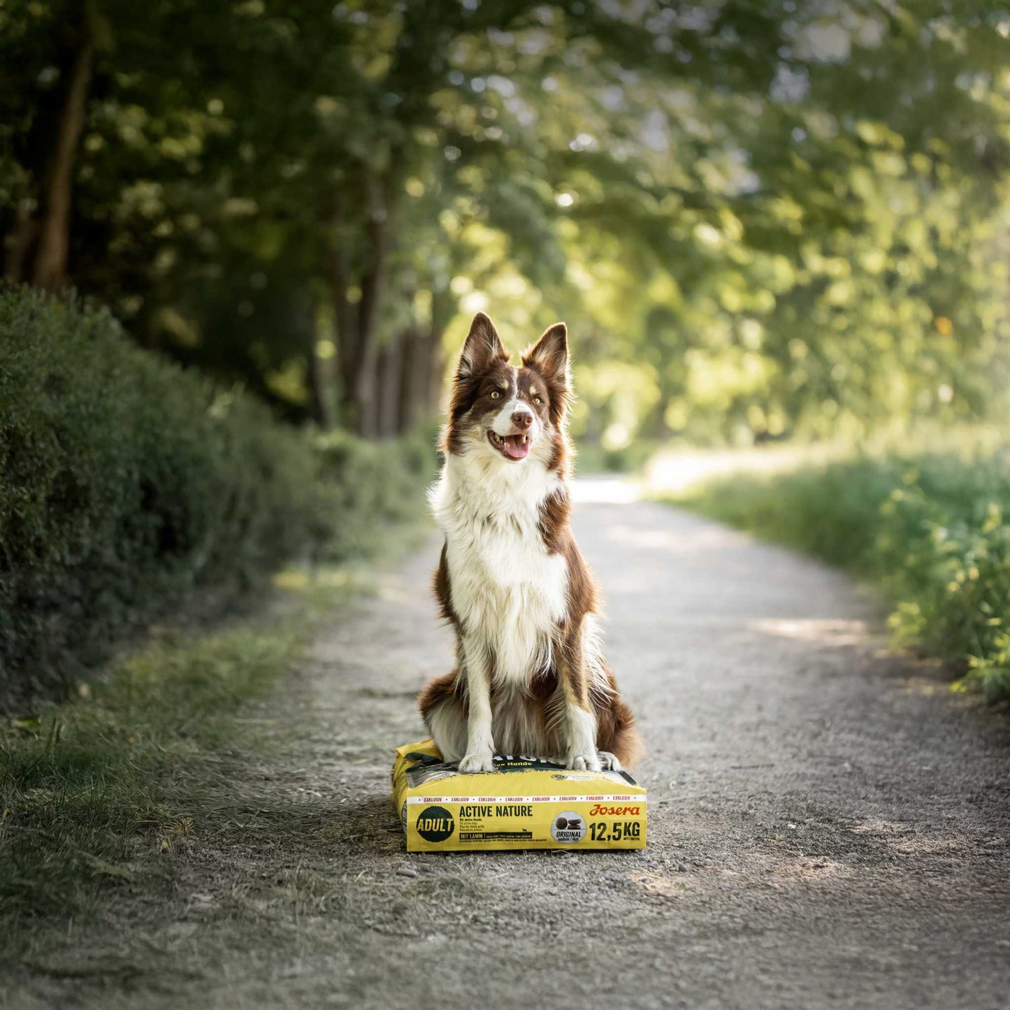 JOSERA ACTIVE NATURE