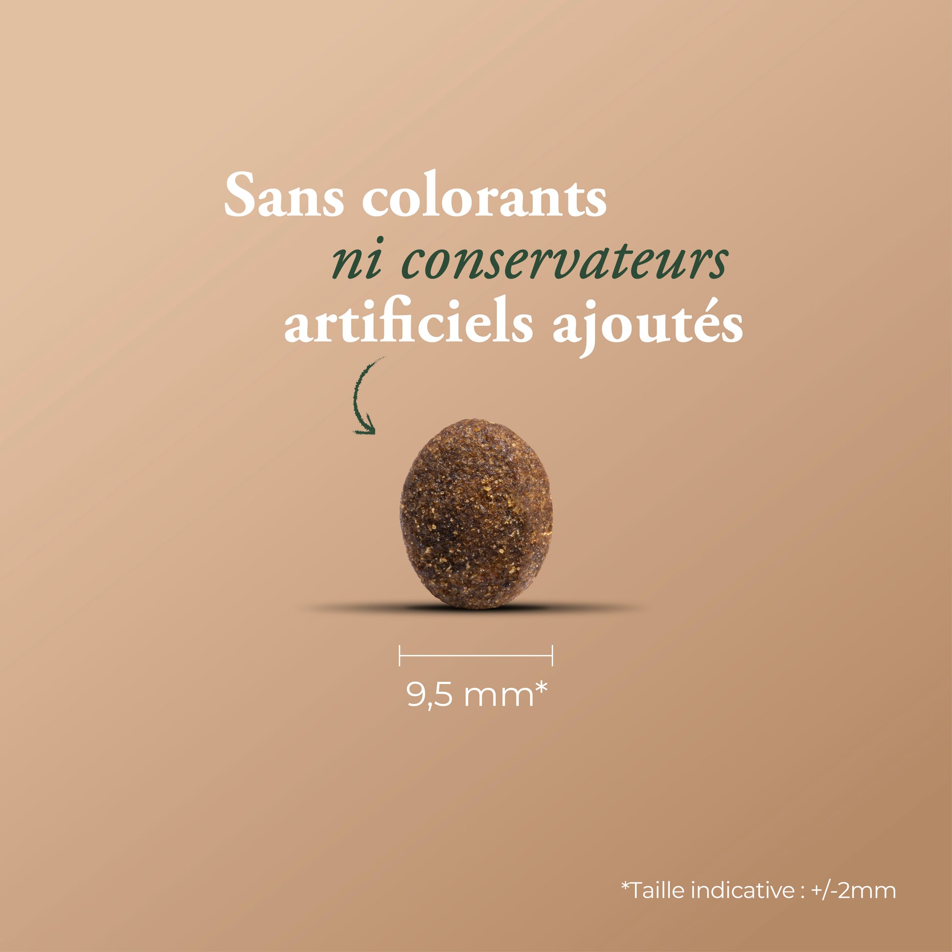 ADULT STERILIZED CAT