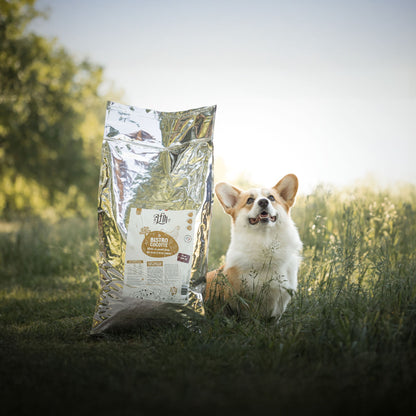 LA BISTROCOCOTTE AVEC RIZ