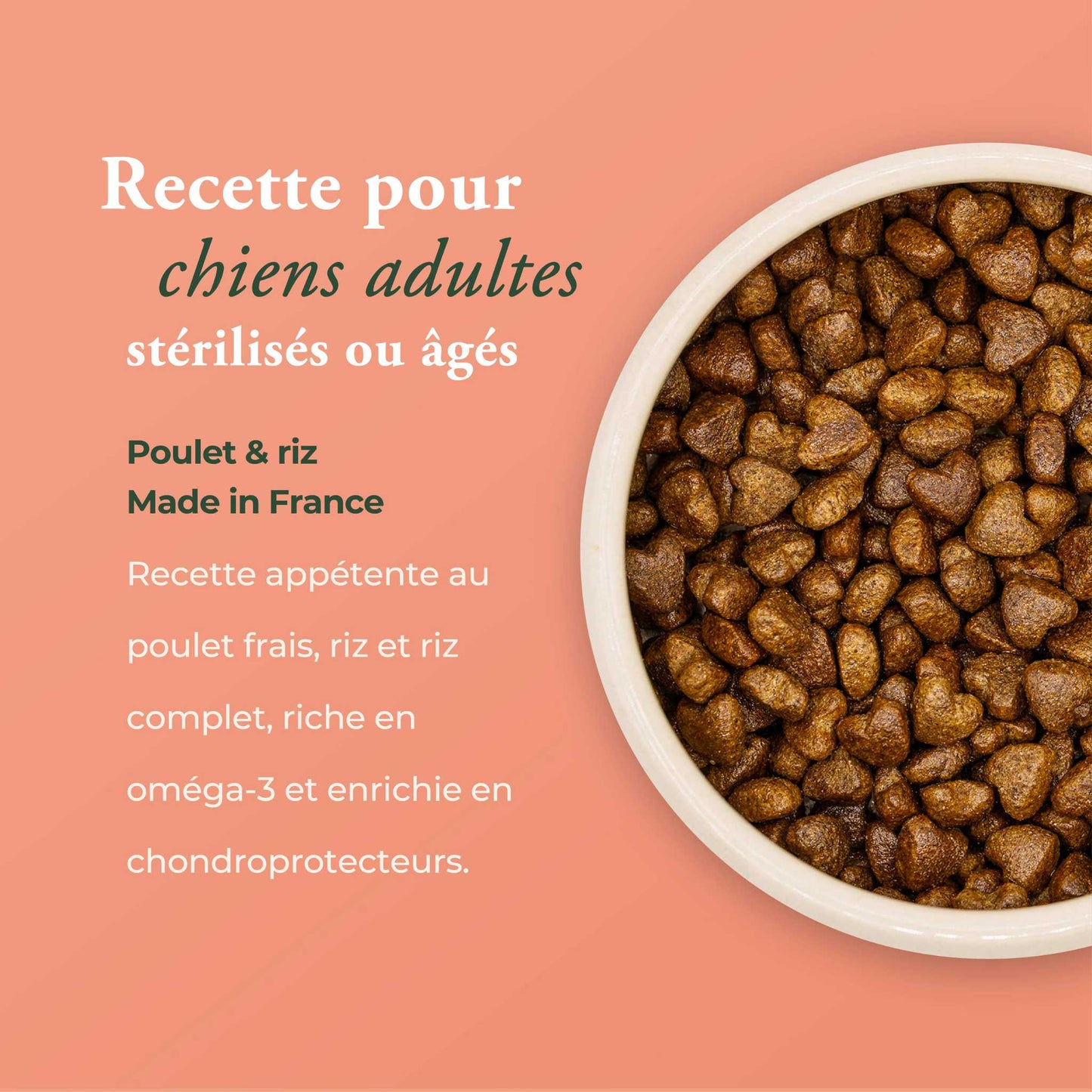 LA BISTROCOCOTTE AVEC RIZ