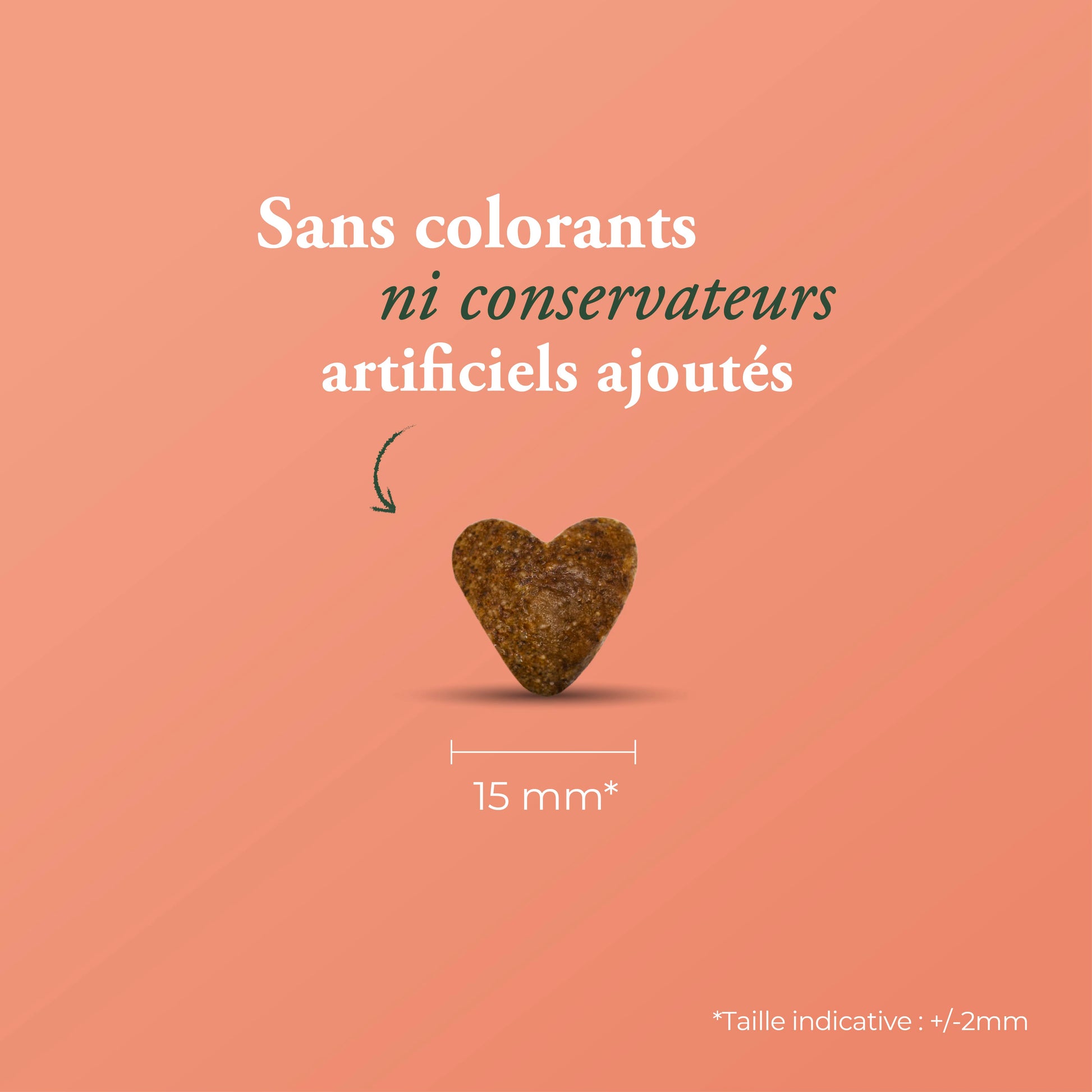 LA BISTROCOCOTTE SANS CÉRÉALES