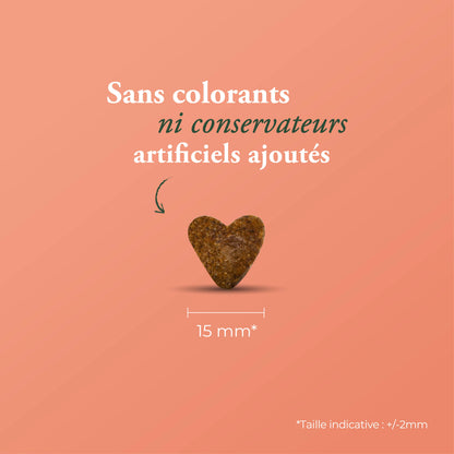 LA BISTROCOCOTTE SANS CÉRÉALES