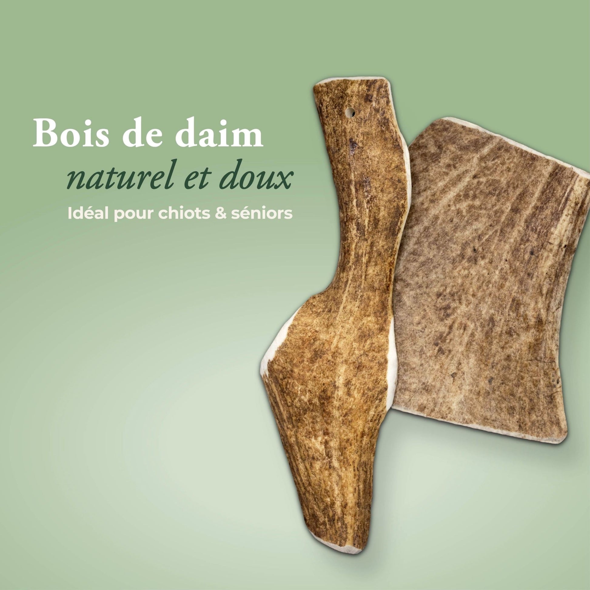 BOIS DE DAIM