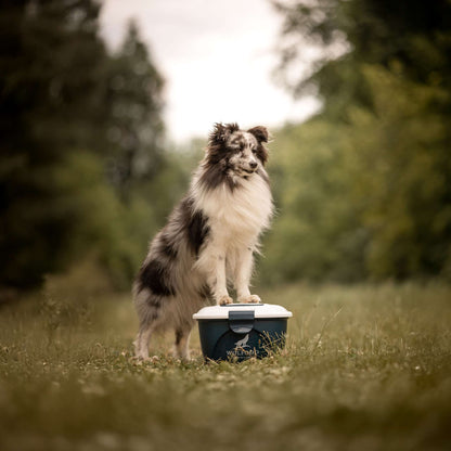 CONTENEUR A CROQUETTE - 2 à 3 kg