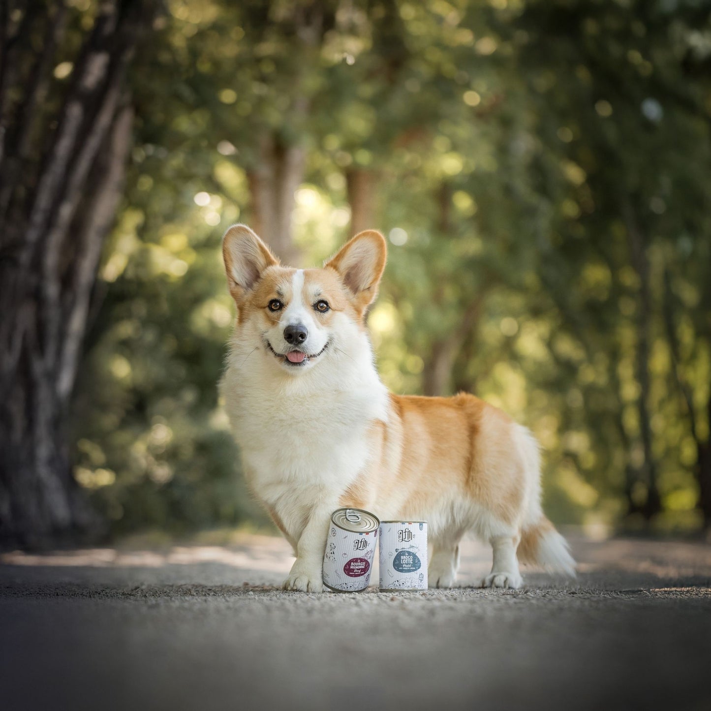 PÂTÉE LA BROCOLOTTE