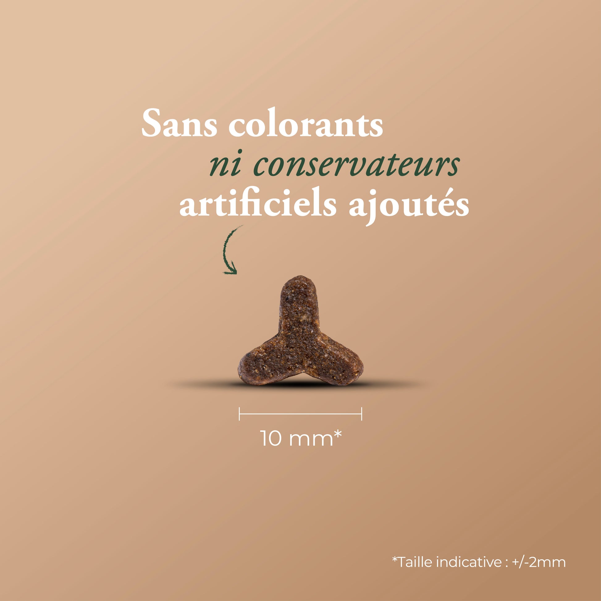 HIGH MEAT CAT & KITTEN