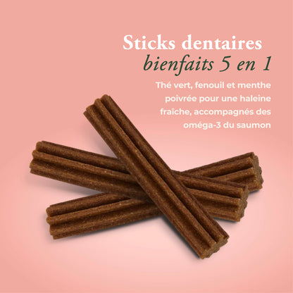 Marly & Dan DENTAL CARE