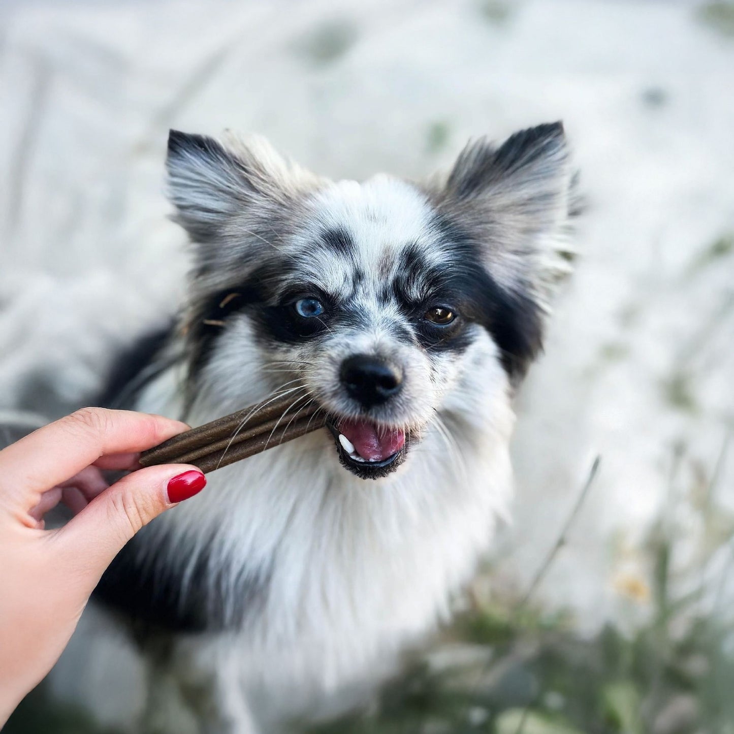 Marly & Dan DENTAL CARE