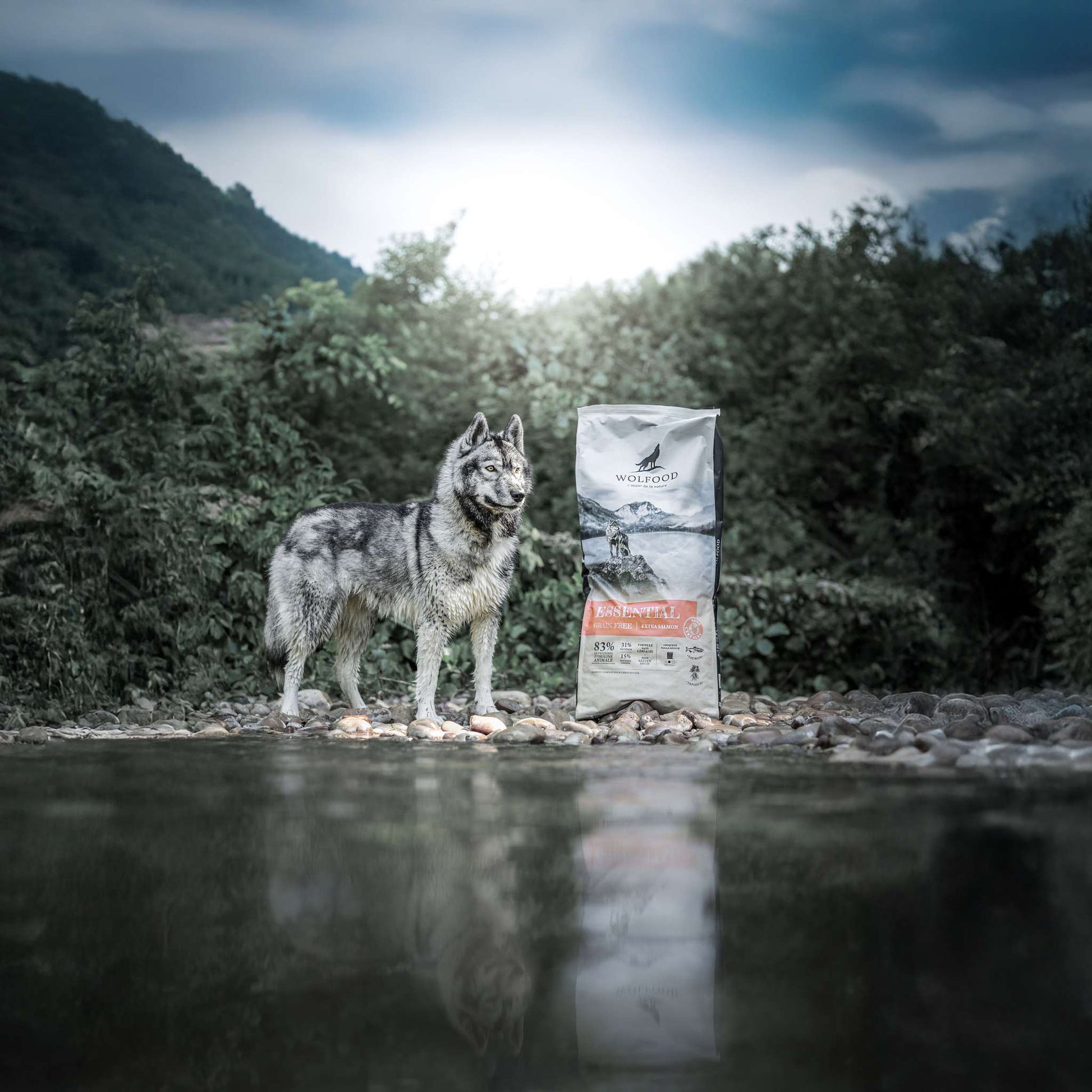 ESSENTIAL EXTRA SALMON