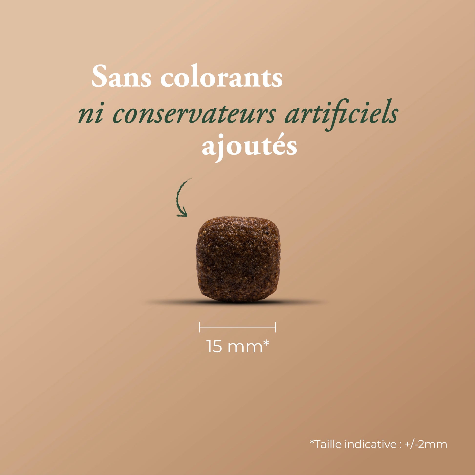 ESSENTIAL EXTRA SALMON