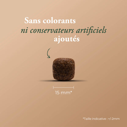 ESSENTIAL EXTRA SALMON