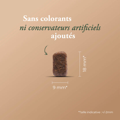 ESSENTIAL MEDIUM MAXI