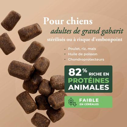 ESSENTIAL MEDIUM MAXI