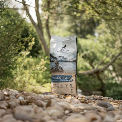 ESSENTIAL STERILIZED