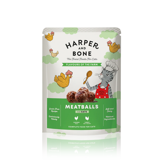 MEATBALLS FLAVOURS OF THE FARM CHAT