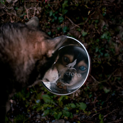 Gamelle Inox Anti-dérapante