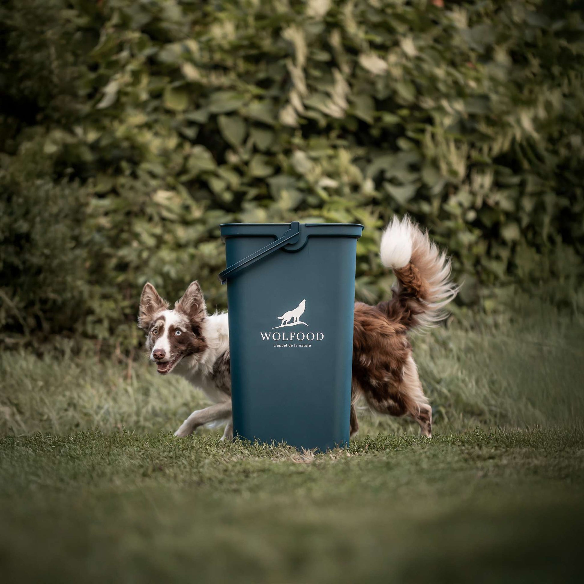 hundezubehör aufbewahren WOLFOOD FUTTERBEHÄLTER 40 L. Optimale und elegante Aufbewahrung für die Mahlzeiten Ihrer Tiere – Nourrir comme la nature
