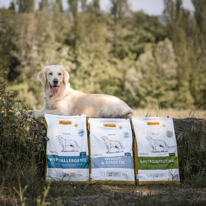 HELP GASTROINTESTINAL