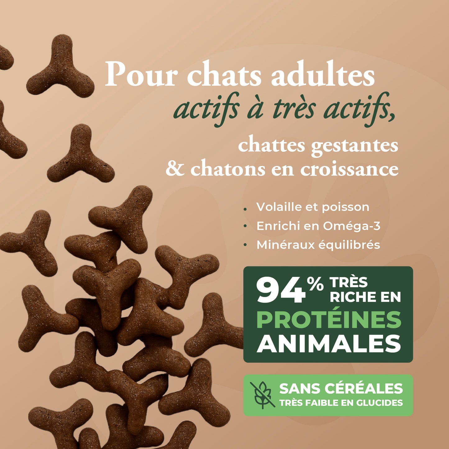 HIGH MEAT CAT & KITTEN