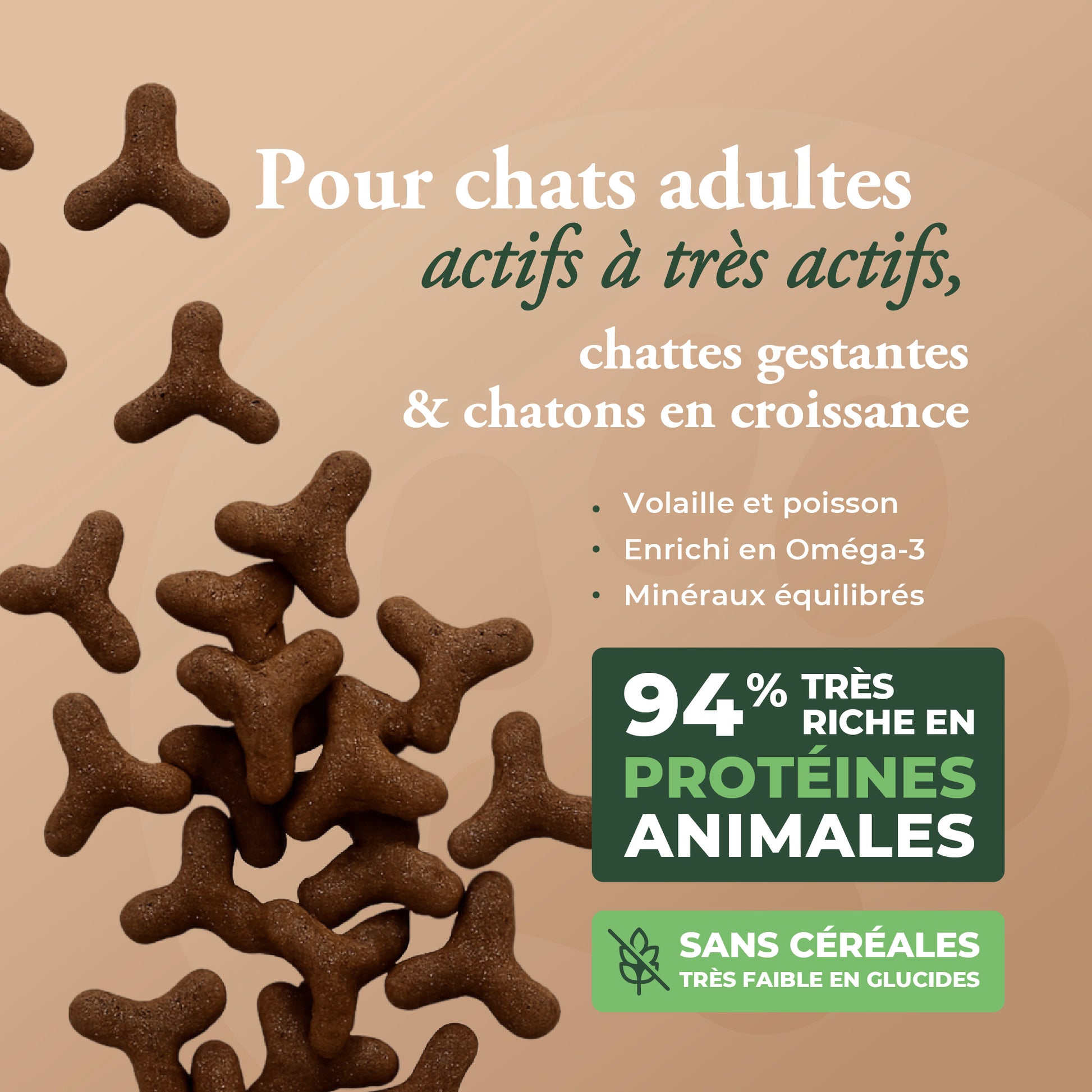 HIGH MEAT CAT & KITTEN