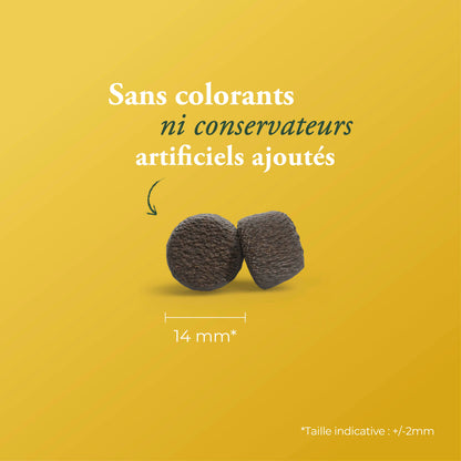 HAUTE PROTEINE AVEC POULET (EX-HIGH ENERGY)