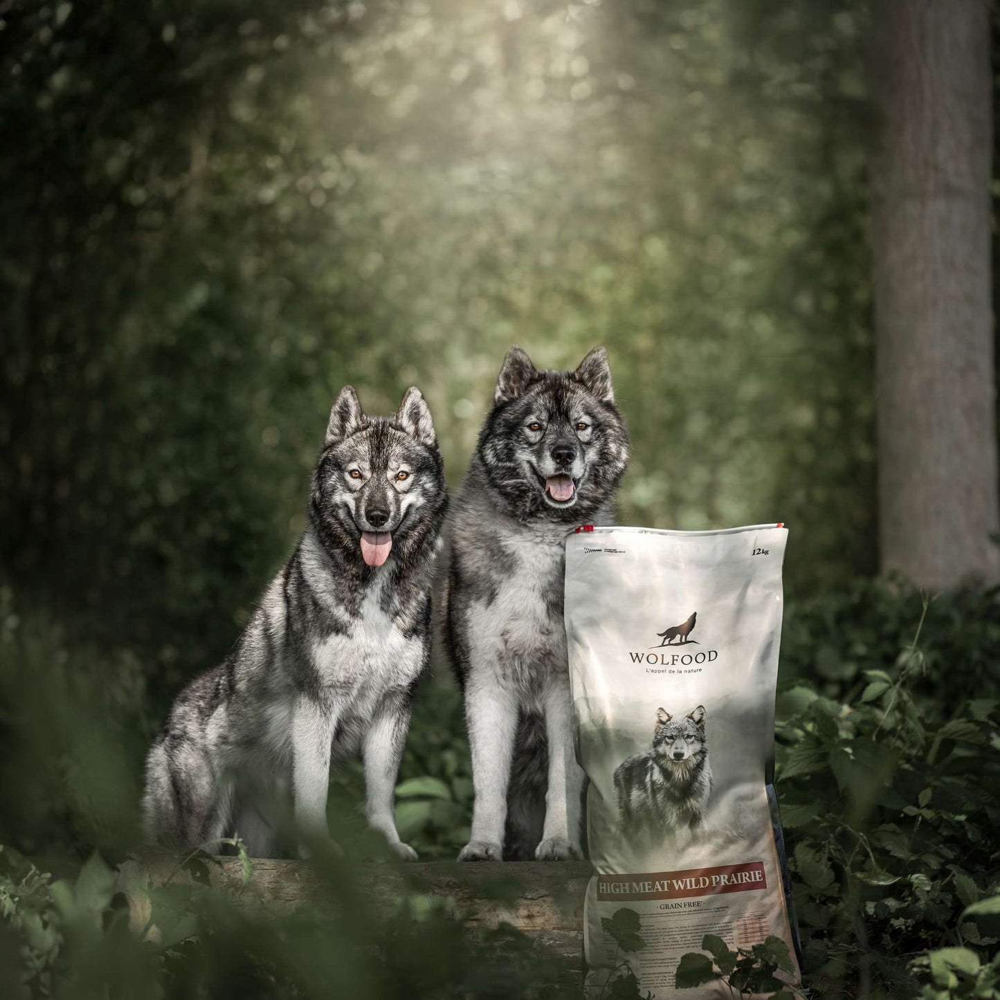 HIGH MEAT WILD PRAIRIE